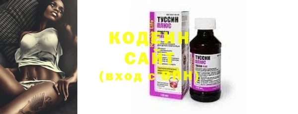 гашик Инсар