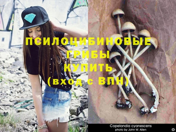 герыч Каменногорск