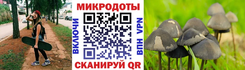Псилоцибиновые грибы Magic Shrooms  Купить закладки  Горнозаводск 